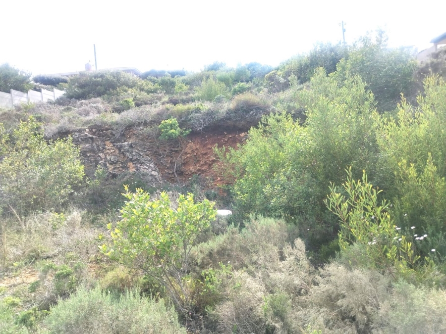 Commercial Property for Sale in Dana Bay Western Cape